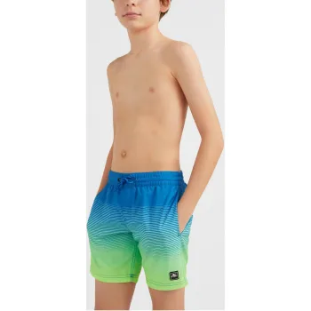 O'Neill Cali Gradient 14   Swim Shorts