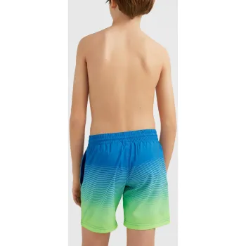 O'Neill Cali Gradient 14   Swim Shorts