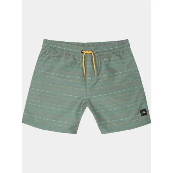O'Neill Mix & Match Cali First 13   Swim Shorts