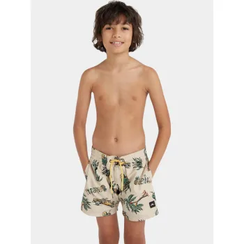 O'Neill Mix & Match Cali Print 13   Swim Shorts