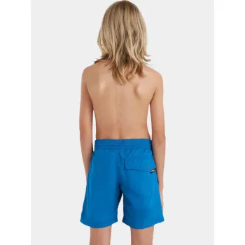 O'Neill Vert 14  Swim Shorts
