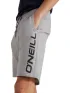 O'Neill O Neill Logo Sweatshorts Férfi Rövidnadrág 8001-Silver Melee-A