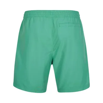 O'Neill Original Cali 16   Swim Shorts