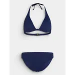 15022-Blueberry Carvico