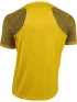 UYN Man Freemove Technical Roundneck T-Shirt Short Sleeves Férfi Sport felső Y196-Yellow Sunshine/Anthracite