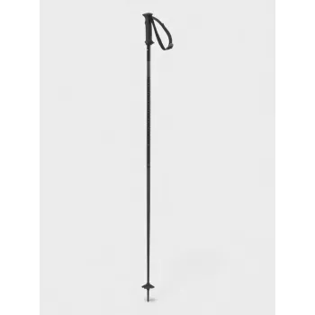 Salomon Polar Access