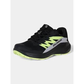 Salomon Alphaglide GTX