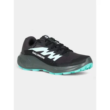 Salomon Alphaglide GTX W