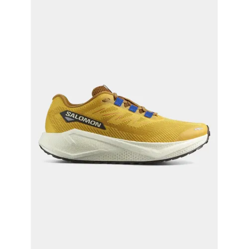 Salomon Aero Blaze 3 GRVL Salomon Aero Blaze 3 GRVL Férfi Futócipő, terepfutó cipő 200SV-Spicym-Vanilia