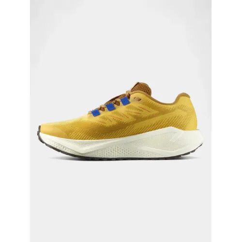Salomon Aero Blaze 3 GRVL Salomon Aero Blaze 3 GRVL Férfi Futócipő, terepfutó cipő 200SV-Spicym-Vanilia
