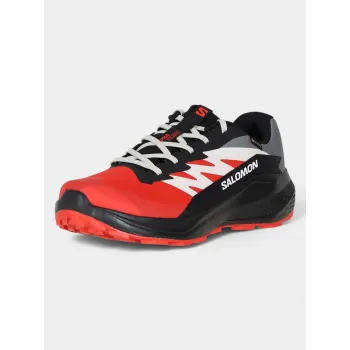 Salomon Alphaglide GTX