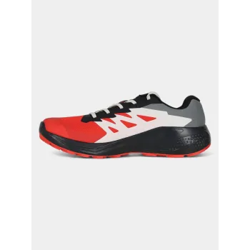 Salomon Alphaglide GTX