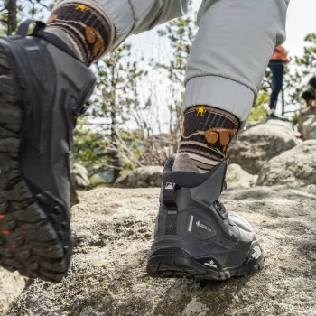 Smartwool Hike Targeted Cushion Bear Stripe Mid Cr Hike
